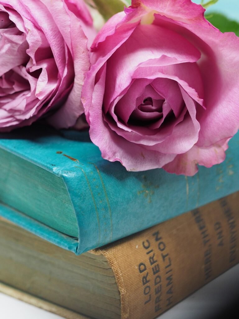 flower, nature, rose, love, romance, still life, petal, decoration, wedding, desktop, romantic, pink, teal, book, books, read, rose flower, reading, flower wallpaper, flower background, relax, self care, refresh, blog, blogging, floral, holiday, valentine, vintage, celebration, decor, blossom, beautiful flowers, bloom, rose wallpaper, iphone wallpaper