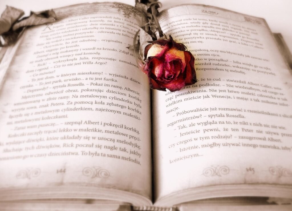 book, rose, book mark, open book, pages, chapter, novel, read, literature, rose flower, reading, bookworm